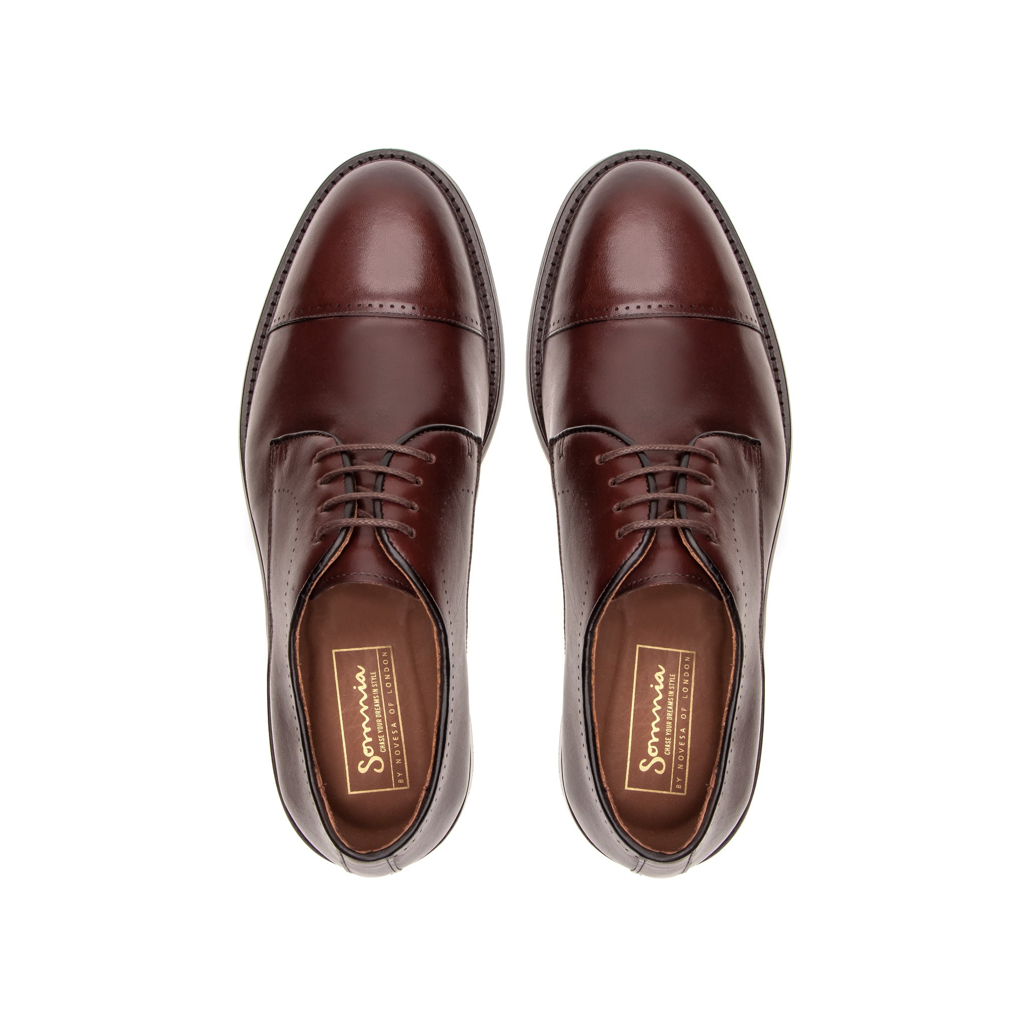 Bertrand Dress Oxford - Coffee