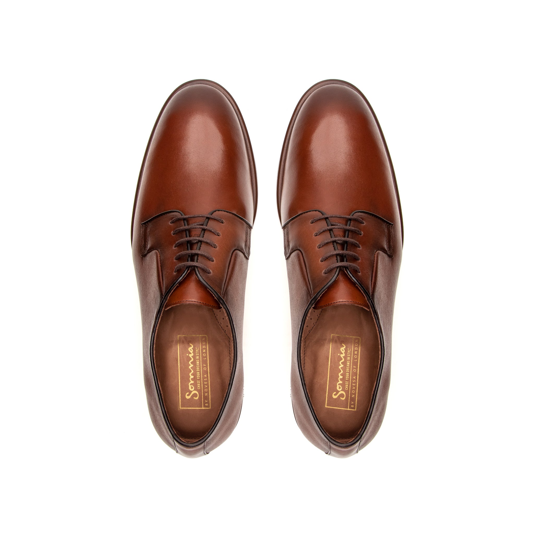 Leonard Plain Toe Derby - Brown