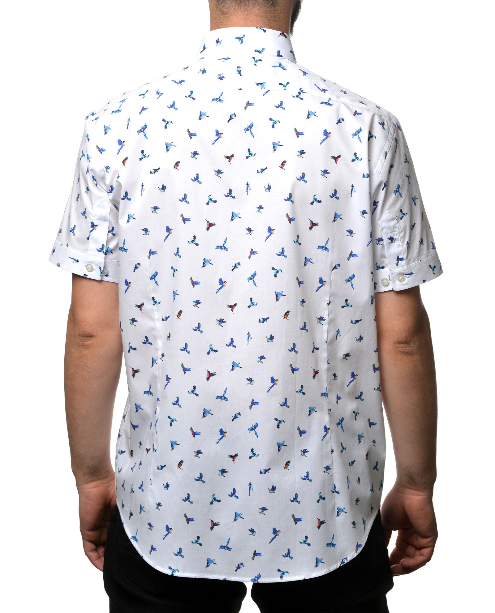 Hummingbird Pattern Short Sleeve Shirt